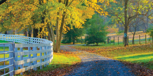 How to Save on Auto Insurance